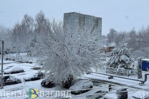 17 декабря в Пензенской области ожидается снег, мощный ветер и 0 градусов