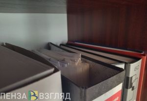 Жительница Пензенской области стала «подставным» директором фирмы-однодневки
