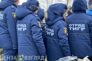 Пензенские «Тигры» помогли пресечь 1 871 административное правонарушение
