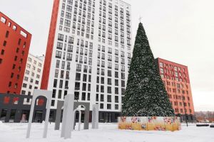 20-метровая ель украсила площадь в квартале Norwood на ГПЗ