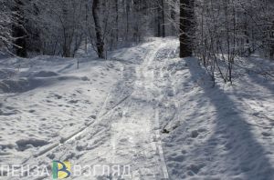 18 декабря в Пензенской области будет снежным и холодным