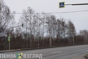 В Пензенском районе перевернулась легковушка