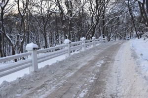 На Тропе здоровья в Пензе завершили укладку плитки