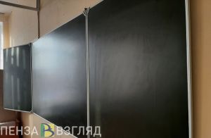 В Пензенской области за полтора года выявлено 2,5 тыс. нарушений в образовании