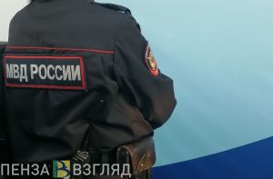 Полиция нашла пензенского подростка, ограбившего прохожего
