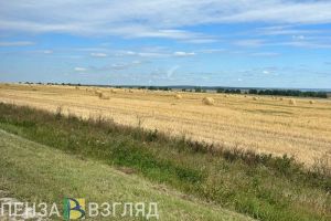Пензенское предприятие распыляло пестициды и химикаты без предупреждения