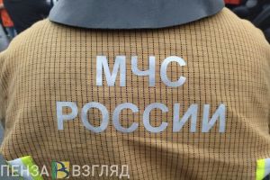 Из горящего дома в Кузнецке эвакуировали 17 человек