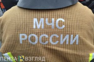 Пензенцы узнали, что 90% пожаров в Новый год происходят из-за алкоголя