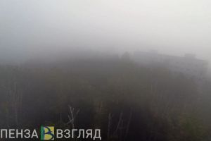 25 декабря на Пензенскую область опустится сильный туман