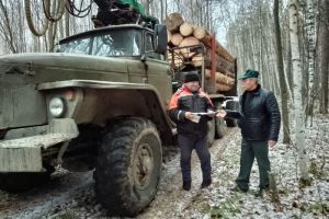 В Пензе подвели итоги оперативно-профилактической операции «Лесовоз»