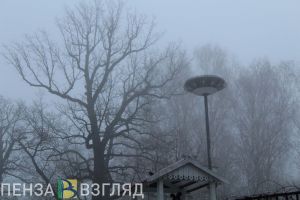 Жителей Пензенской области предупредили об ухудшении погоды 26 декабря