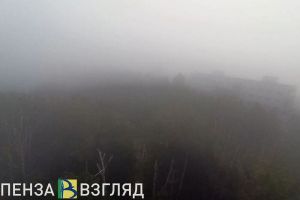 27 декабря в Пензенской области ожидается густой туман