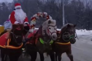 В Пензе сняли видео с едущими на тройке Дедом Морозом и Снегурочкой