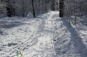29 декабря будет туманным и прохладным