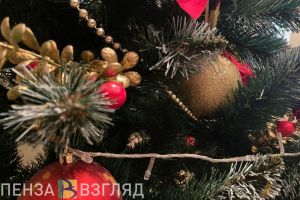 Пензенцев предупредили о мошенниках, переодетых в Деда Мороза и Снегурочку