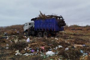 Свыше 24 тонн отходов вывезли с несанкционированной свалки в Лунино