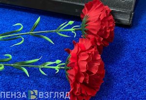 Подведены итоги участия Пензенской области в проекте «Герои Отечества»