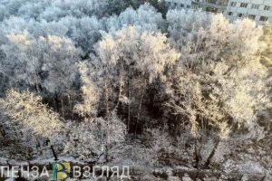 В Пензенской области 30 декабря синоптики прогнозируют 14-градусный мороз