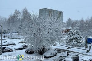 За сутки температура в Пензенской области может вырасти на 14 градусов