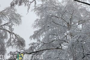В первые дни 2025 года Пензенскую область ожидают осадки, ветер и гололед