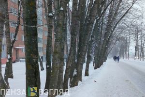 Пензенцам рассказали о погоде в регионе 1 января 2025 года