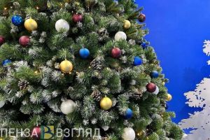 Пензенцы поделились своим отношением к первому января