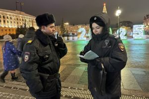 В новогоднюю ночь в Пензе и области дежурили росгвардейцы, полиция, активисты