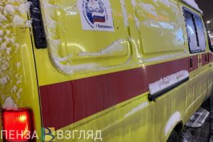 В Нижнеломовском районе два человека погибли в ДТП с большегрузом