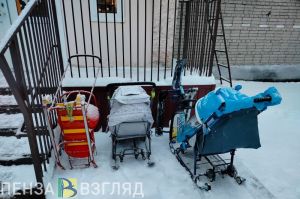 В 2024 году в Пензенской области выплаты перечислили более чем на 88 тысяч детей