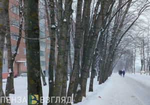 Пензенцев предупредили об ухудшении погоды 7 января
