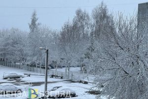 8 января местами по Пензенской области прогнозируется снег с дождем