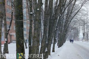 8 января на территории Пензы и области ожидаются мощные порывы ветра