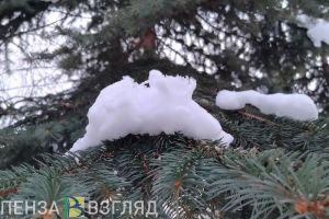 9 января в Пензенской области прогнозируется снег, дождь и +2 градуса тепла