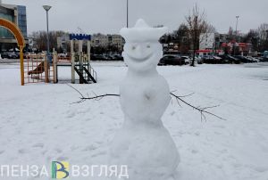 В Пензе из-за непогоды перенесли соревнования по хоккею