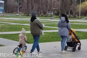 Для пензенцев программу маткапитала могут продлить до 2030 года