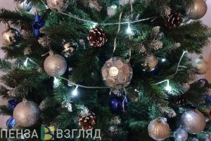 За неправильную утилизацию новогодней елки пензенцев могут оштрафовать