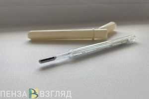 Пензенцам рассказали, что делать в случае болезни во время отпуска