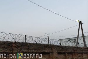 В 2024 году в пензенских тюрьмах изъяли 15 телефонов и 17 сим-карт