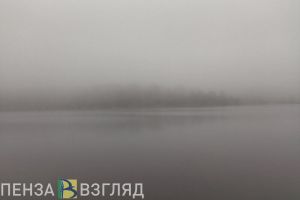 11 января на Пензенскую область опустится густой туман
