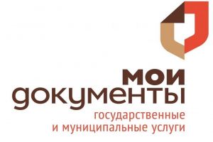 В 2024 году жителям Пензенской области оказали в МФЦ более 1,5 миллиона услуг