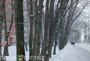 Пензенцы узнали прогноз Тишковца об аномалиях температуры воздуха
