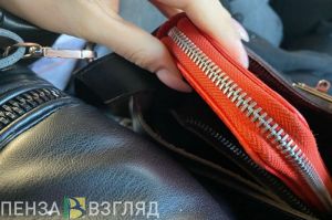 Пензенцам предложили выплачивать аванс частями после праздников