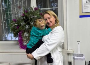Пензенские ветеринары лечат макак, рептилий и лемуров
