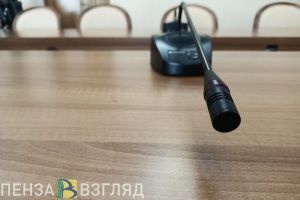 В Пензенской области впервые выявят лучшего гражданского госслужащего