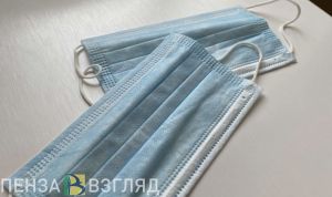 Пензенцы узнали, стоит ли ждать пандемии из-за метапневмовируса