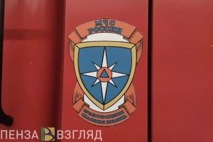 За прошедшие сутки в Пензенской области пожарные потушили 5 возгораний