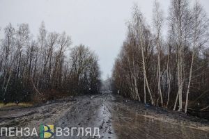 12 января в Пензенской области прогнозируется гололедица и дождь