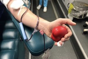 В 2024 году в Пензе удалось заготовить более 20 000 литров донорской крови