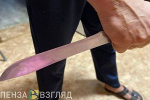 В Пензе пьяный мужчина набросился на гостью с ножом и угрозами
