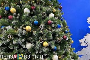 В Пензенской области ночь на Старый Новый год будет морозной